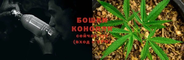 ГАЛЛЮЦИНОГЕННЫЕ ГРИБЫ Горно-Алтайск