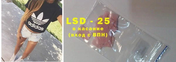 хмурый Гатчина