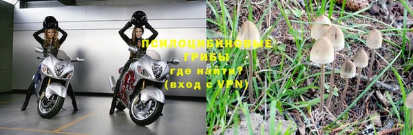 ПСИЛОЦИБИНОВЫЕ ГРИБЫ Галич
