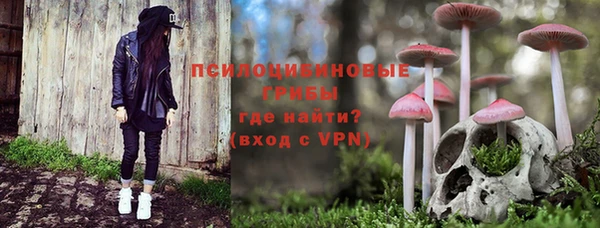 стафф Горнозаводск