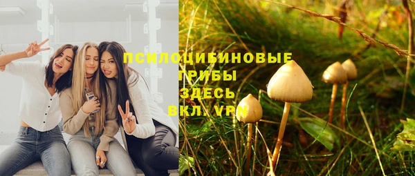 стафф Горнозаводск