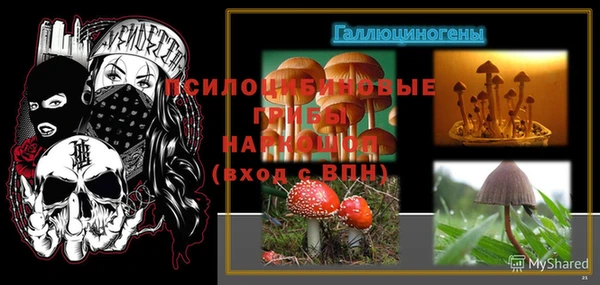 мет Гусев