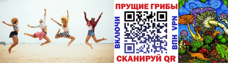 OMG ССЫЛКА  Далматово  darknet клад  наркота  Галлюциногенные грибы мицелий 